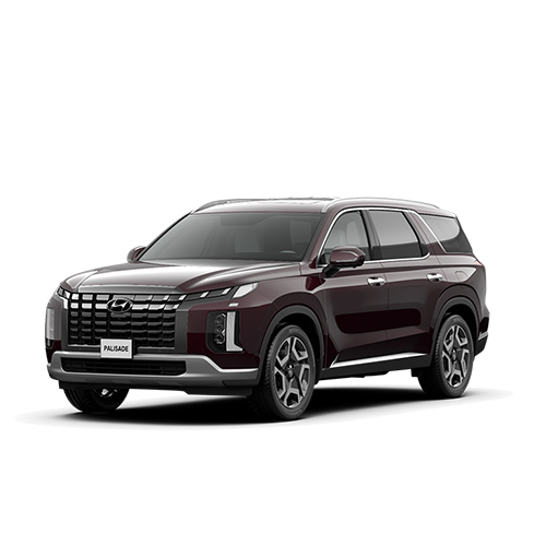 hyundai PALISADE nang tam vi the dai dien san pham do do